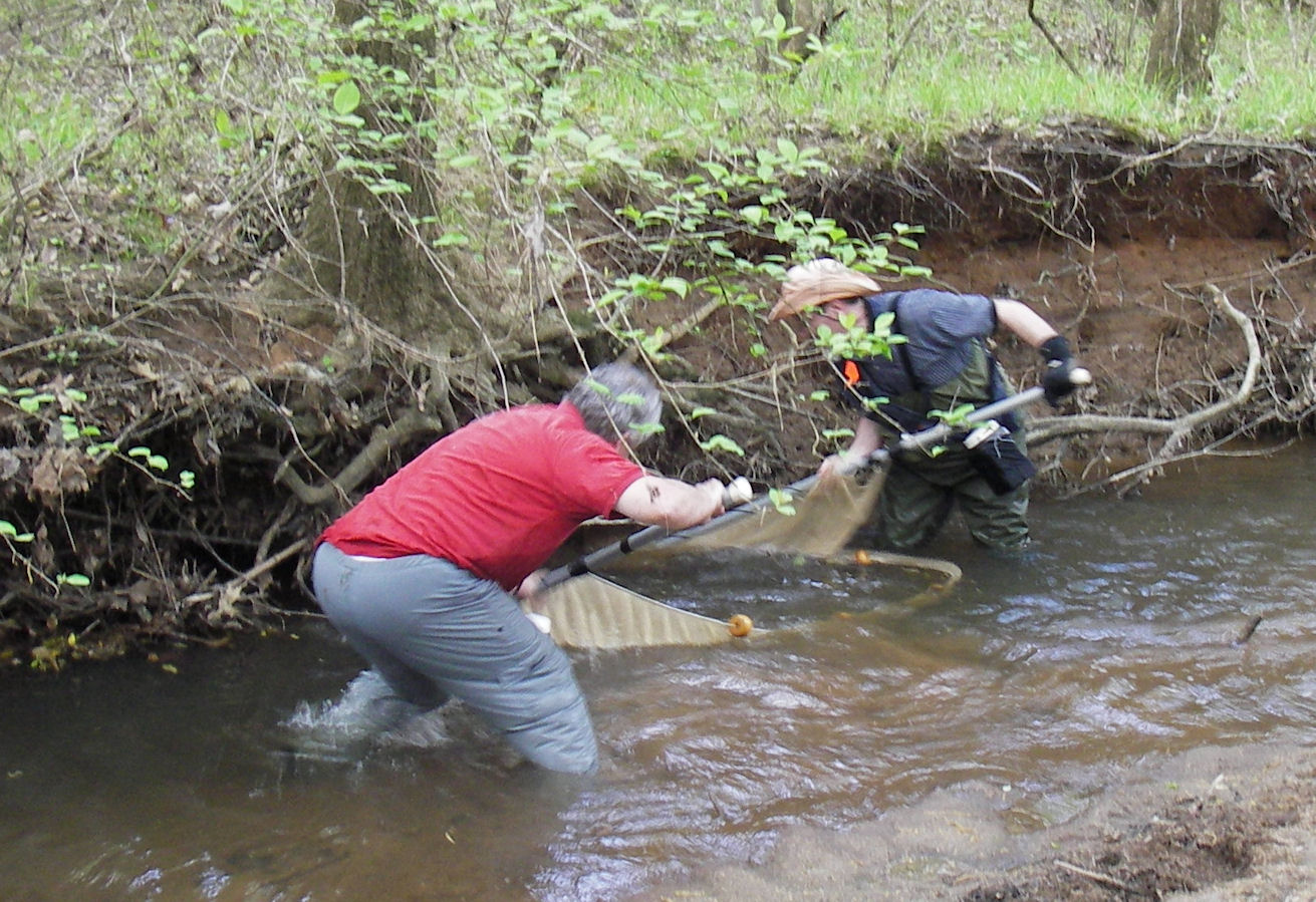 Seining Under