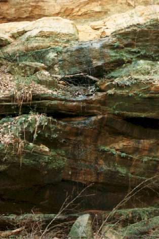 Hocking Hills Ohio site of the 2001 NANFA Convention Jay DeLong photo