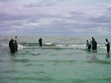 seining in Lake Erie