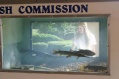 Heather Smith and Gar