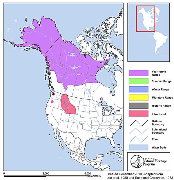 range map